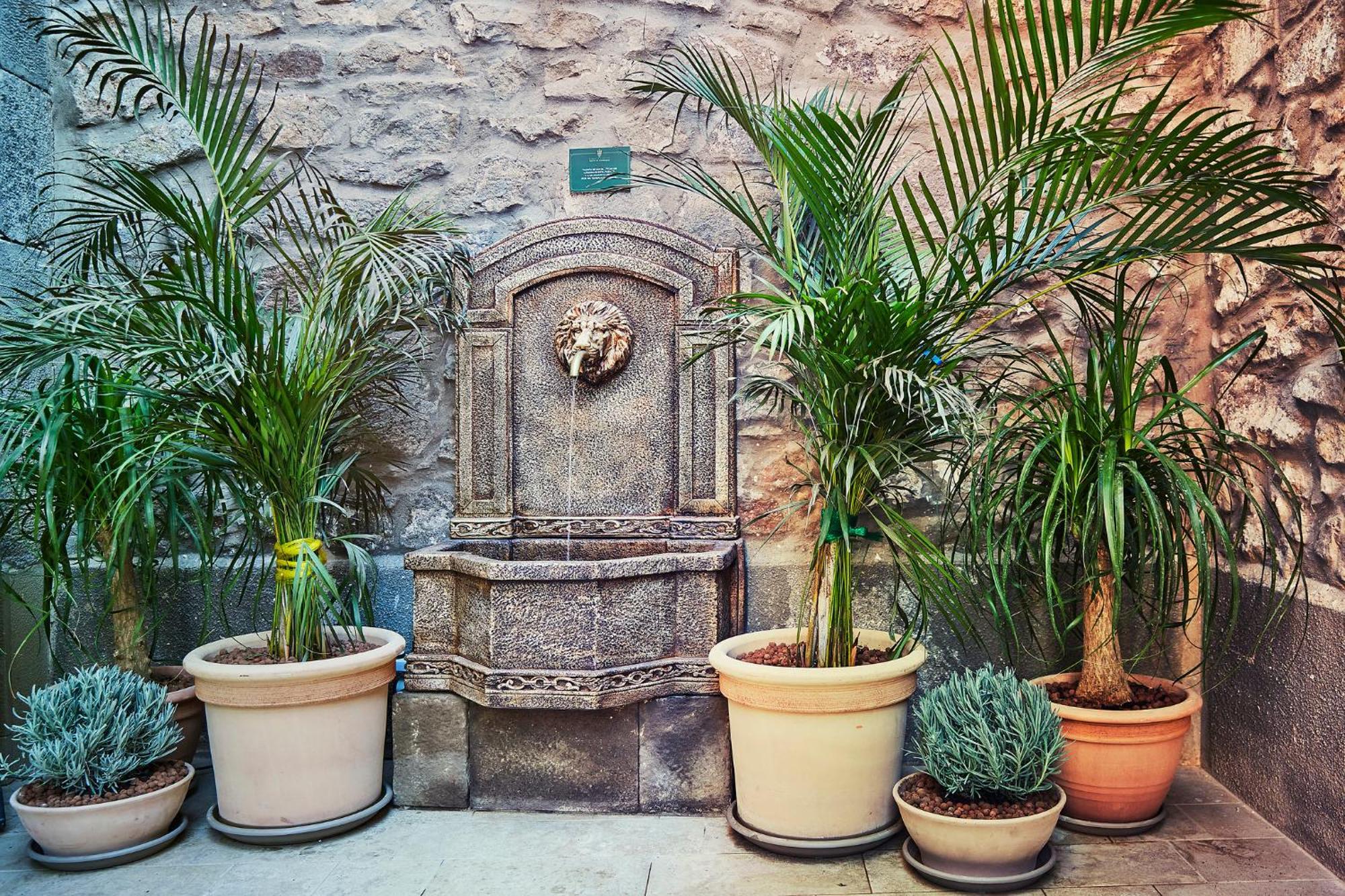 Casa Palacio Reina De Tardajos 비누에사 외부 사진